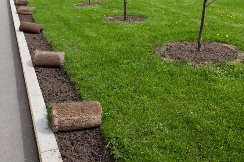 Bluegrass Sod Installation in Aiken, SC