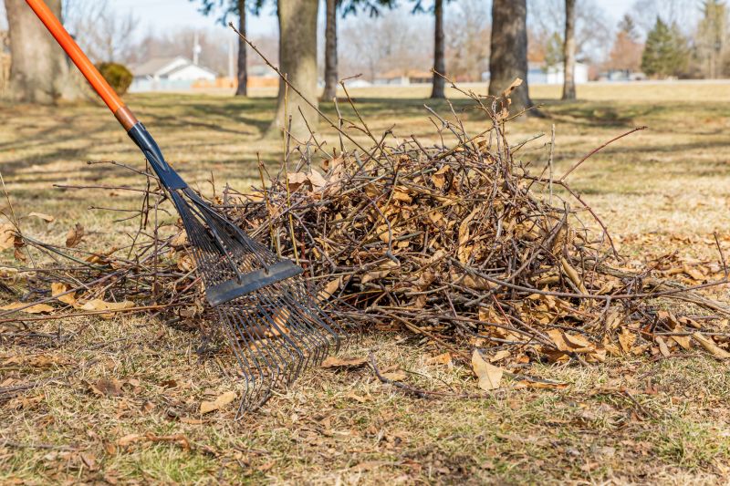 Raking and Clearing Debris