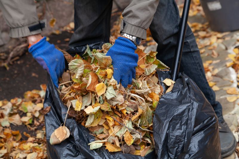 Mulching and Composting Leaves