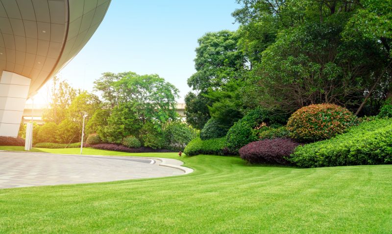 How Professional Landscaping Improves Curb Appeal