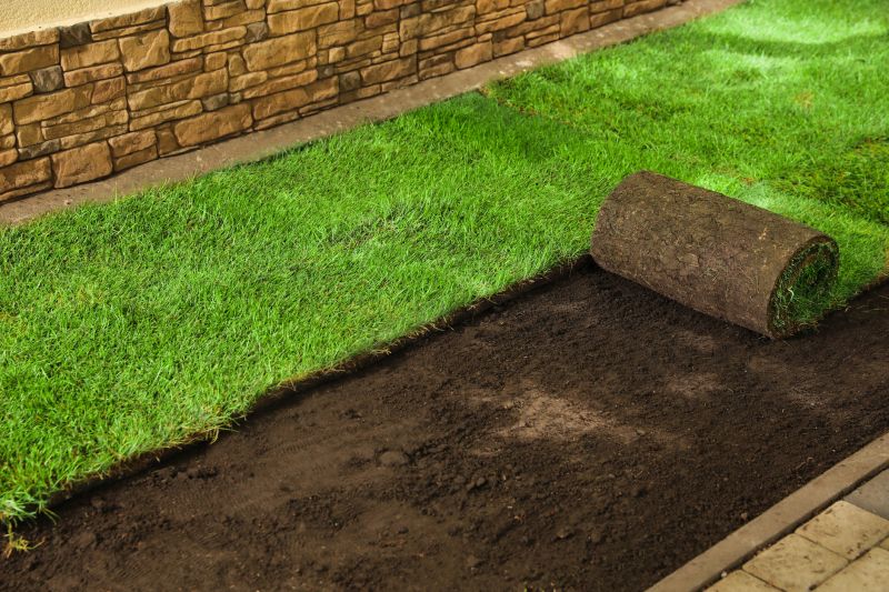 Ryegrass Sod Installation in Rockwall, TX
