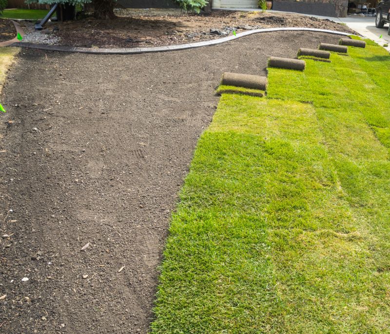 Sod Contractors