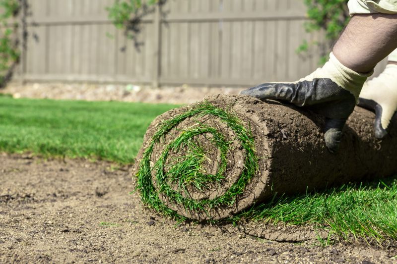 Sod Contractors