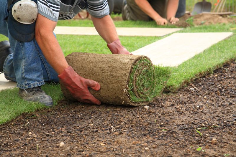 Sod Contractors