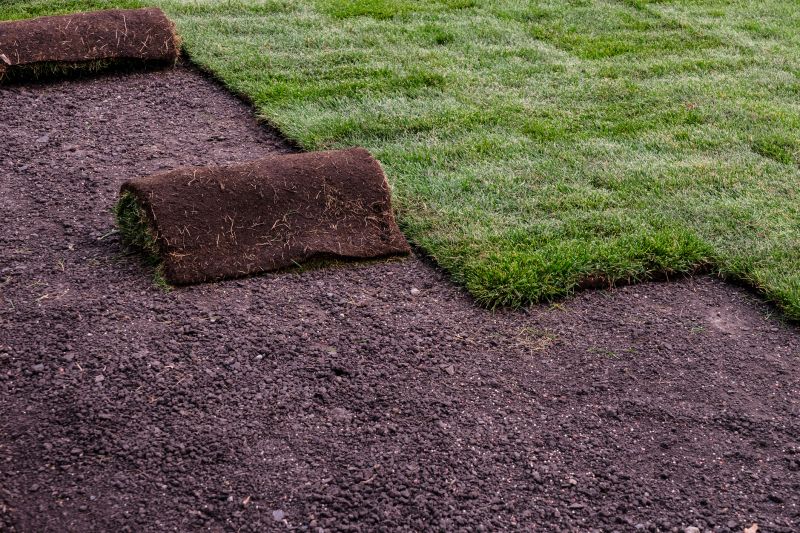 Sod Contractors