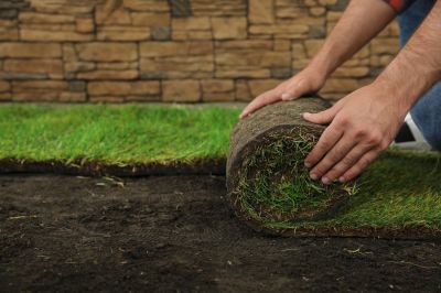 Sod Landscaping in Honolulu, HI