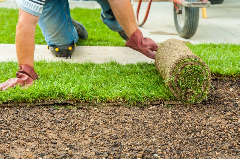 Sodding Service in Aiken, SC