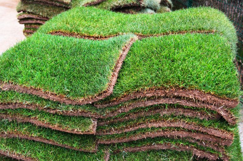 Eco-Friendly Options