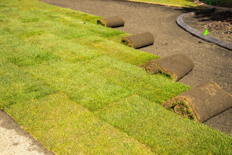 Sod Installation Process