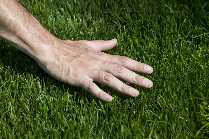 Zoysia Grass Installation in Honolulu, HI