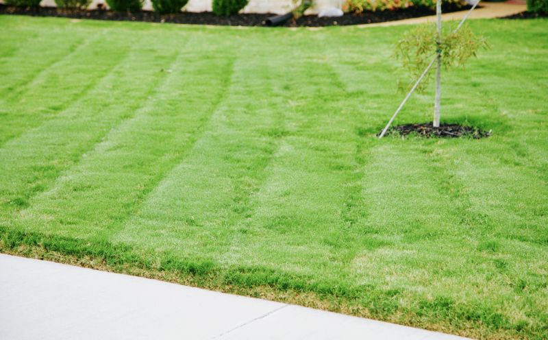 Grass Replacement in Rockwall, TX